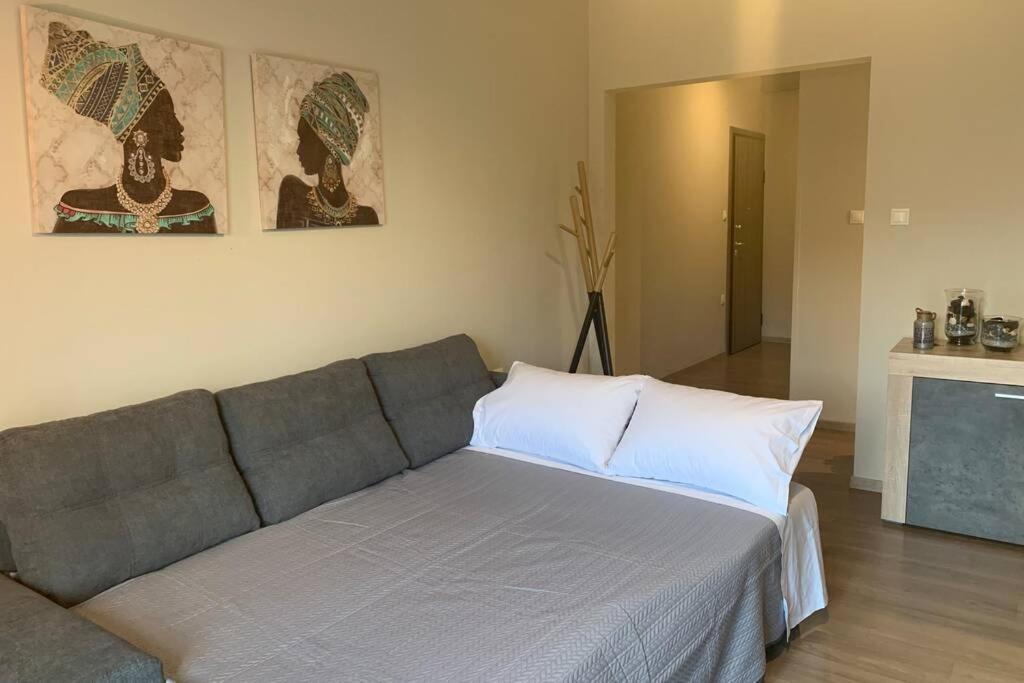 Belajo Central Apartment And Jacuzzi !! Volos Bagian luar foto